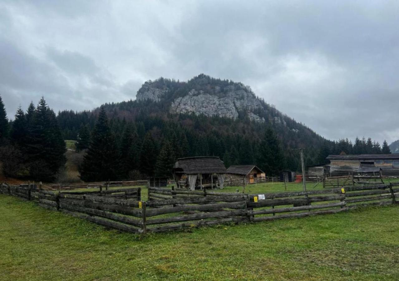 Zazi Apartmany Fatrapark Hrabovo Ruzomberok Buitenkant foto